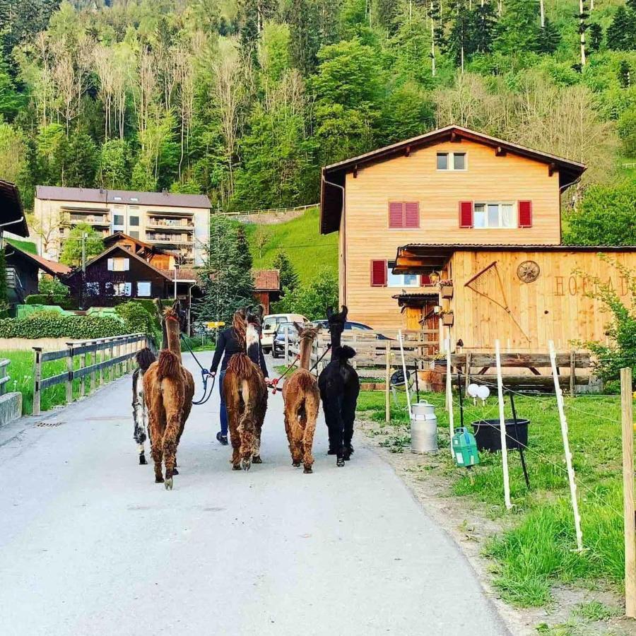 Hotel Jurte Beim Lama- & Alpakahof Triesenberg Exterior foto