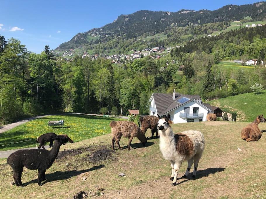 Hotel Jurte Beim Lama- & Alpakahof Triesenberg Exterior foto